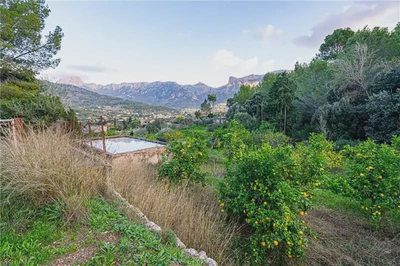 Mark till salu i Soller - 150 000 € (Ref: 9893490)
