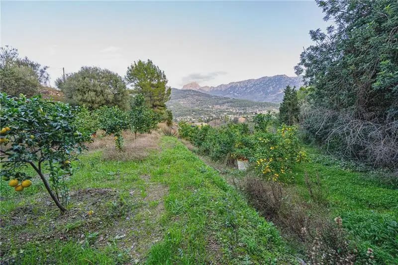 Mark till salu i Soller - 150 000 € (Ref: 9893490)