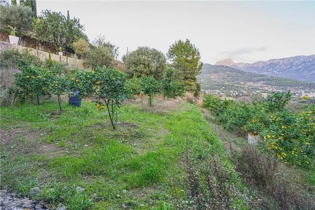 Mark till salu i Sóller - 150 000 € (Ref: 9893490)