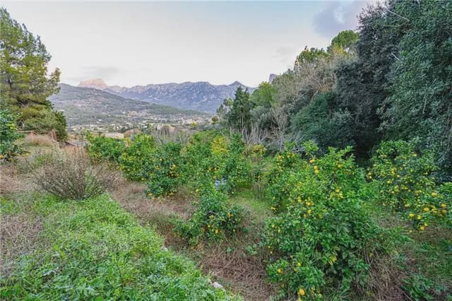 Mark till salu i Sóller - 150 000 € (Ref: 9893490)