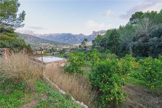 Mark till salu i Sóller - 150 000 € (Ref: 9893490)