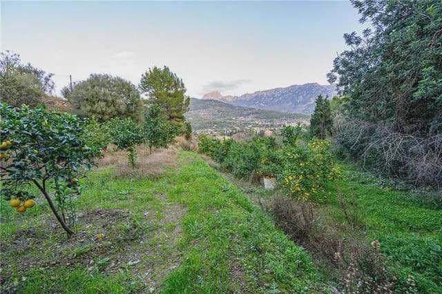 Mark till salu i Sóller - 150 000 € (Ref: 9893490)