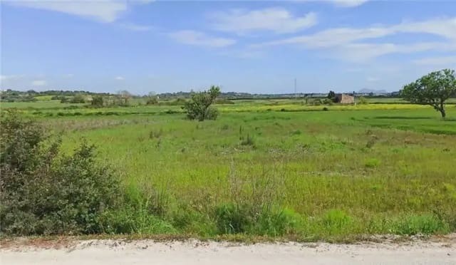 Teren niezagospodarowany na sprzedaż w Santa Margalida - 19 000 € (Ref: 9893491)