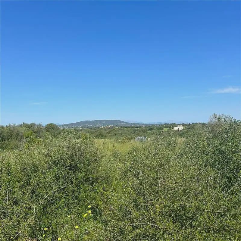 Terreno Não Urbanizado para venda em Manacor - 240 000 € (Ref: 9893518)
