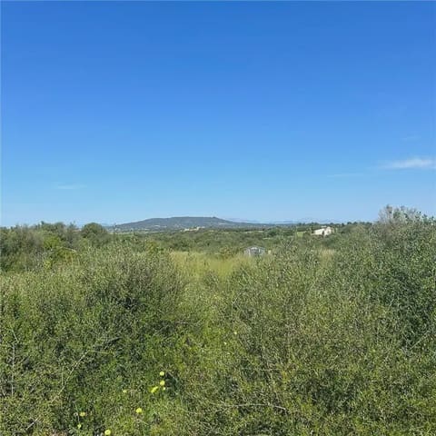 Mark till salu i Manacor - 240 000 € (Ref: 9893518)