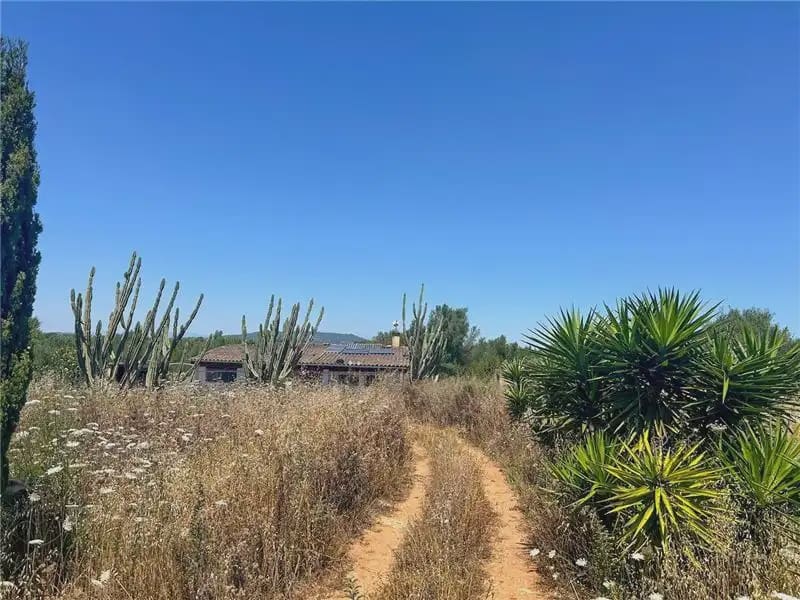 Terreno Não Urbanizado para venda em Manacor - 240 000 € (Ref: 9893518)