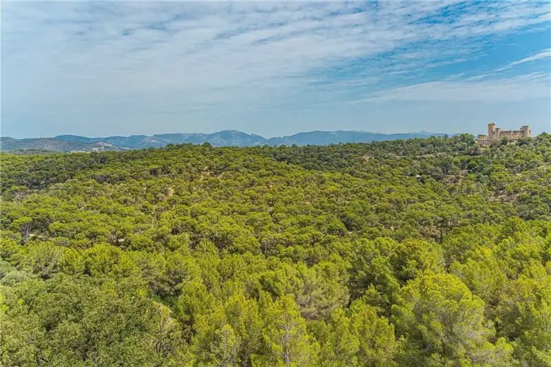 4 quarto Apartamento para venda em Palma de Mallorca com piscina - 1 499 000 € (Ref: 9964524)