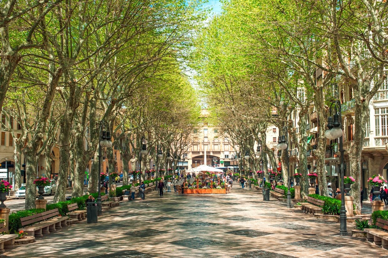3 Zimmer Apartment zu verkaufen in Palma de Mallorca mit Garage - 1.170.000 € (Ref: 10009654)