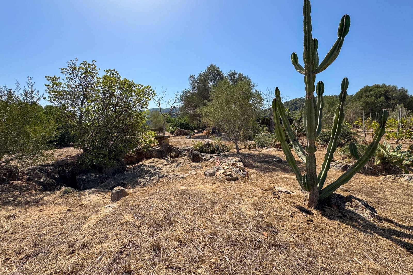 3 Zimmer Finca/Landgut zu verkaufen in Capdepera mit Garage - 370.000 € (Ref: 10085229)