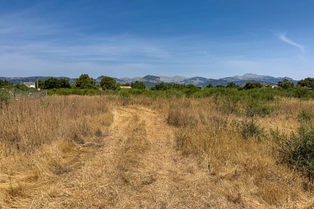 Grunde uden byggetilladelser til salg i Binissalem - € 750.000 (Ref: 10136729)