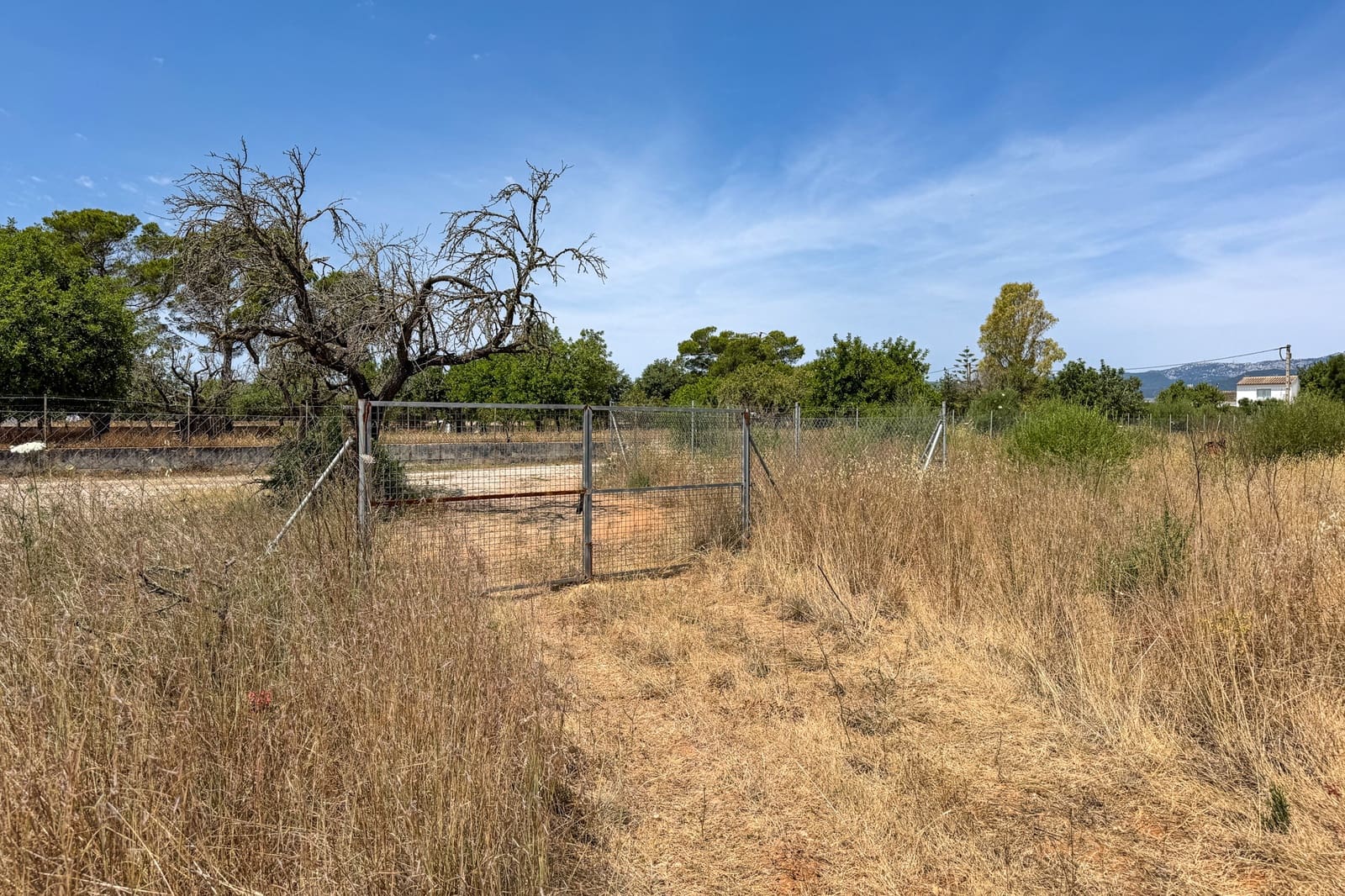 Grunde uden byggetilladelser til salg i Binissalem - € 750.000 (Ref: 10136729)