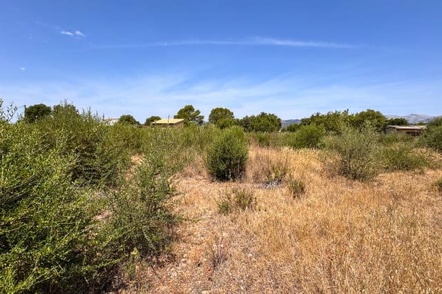 Grunde uden byggetilladelser til salg i Binissalem - € 750.000 (Ref: 10136729)