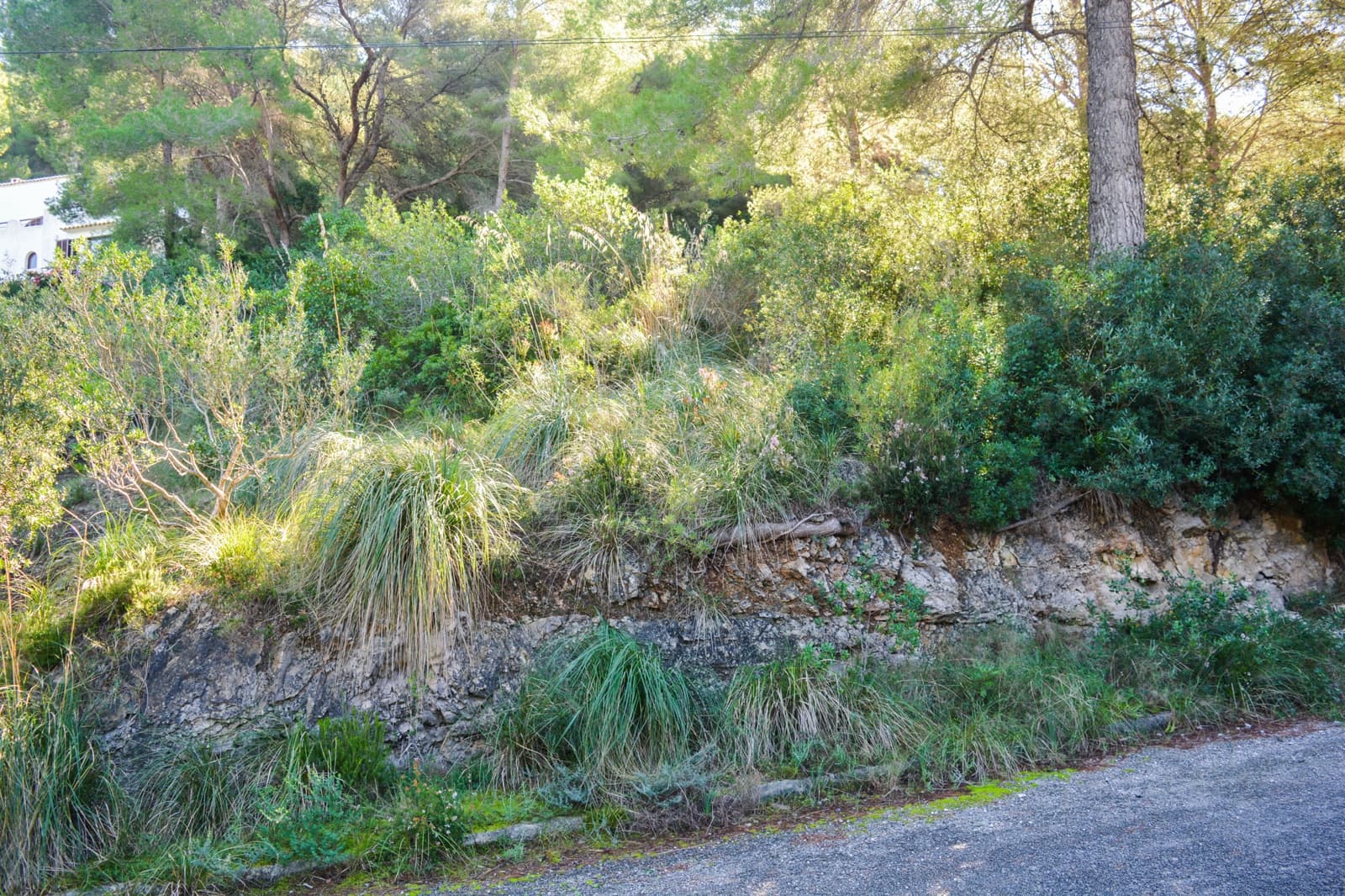 Mark till salu i Canyamel - 181 000 € (Ref: 8045147)