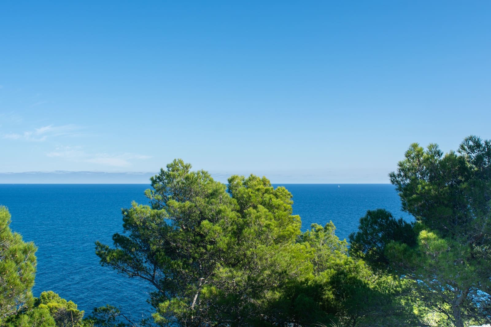 Mark till salu i Canyamel - 181 000 € (Ref: 8045147)