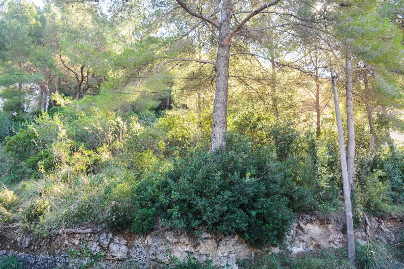 Mark till salu i Canyamel - 181 000 € (Ref: 8045147)