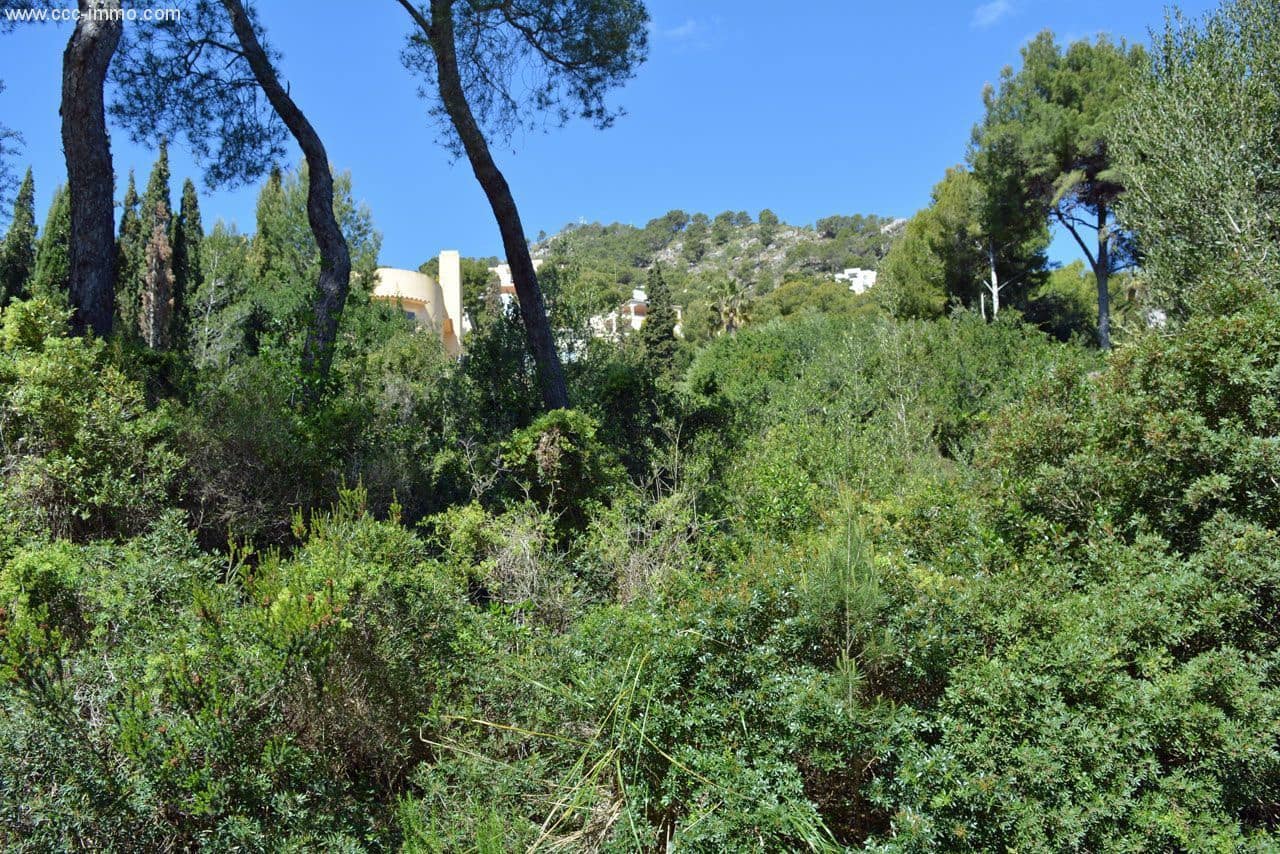 Undeveloped Land for sale in Canyamel - € 139,000 (Ref: 8045150)