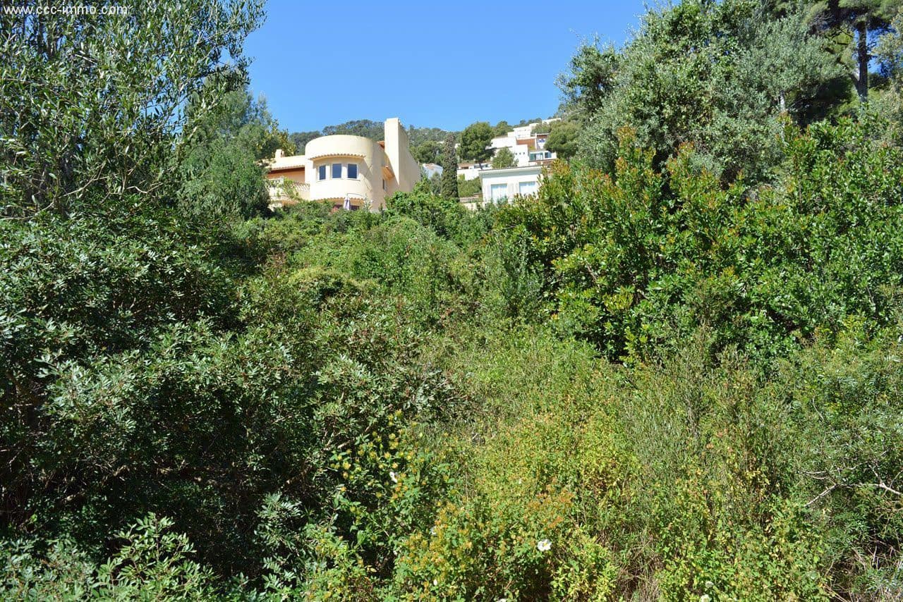 Undeveloped Land for sale in Canyamel - € 139,000 (Ref: 8045150)