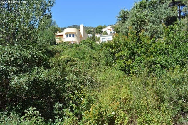 Undeveloped Land for sale in Canyamel, Capdepera - € 139,000 (Ref: 8045150)