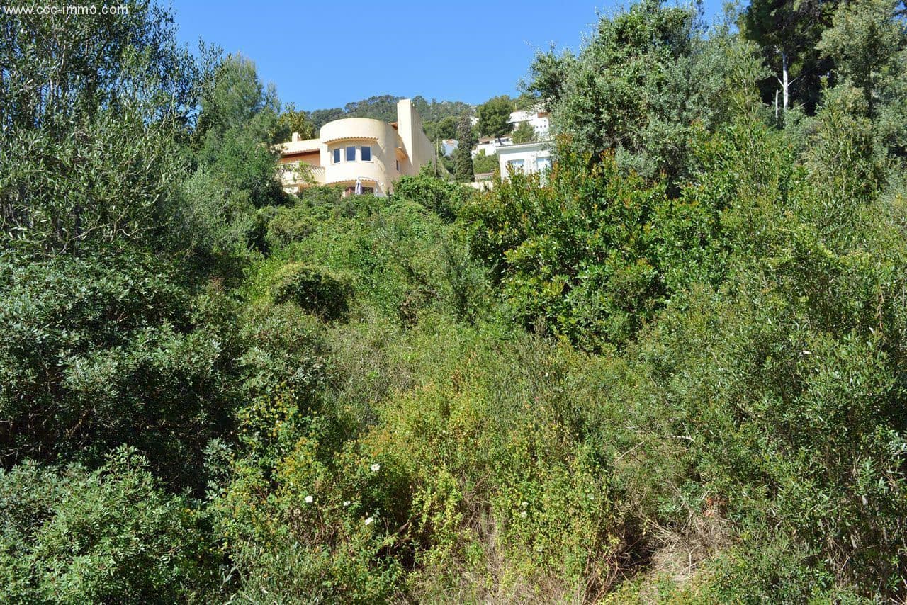 Undeveloped Land for sale in Canyamel - € 139,000 (Ref: 8045150)