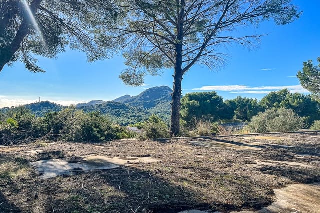 Mark till salu i Font de Sa Cala / Font de La Cala, Capdepera - 4 200 000 € (Ref: 8045165)