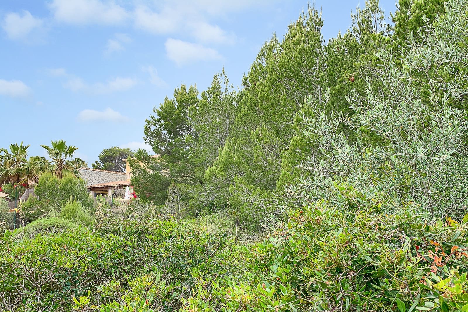 Ubebygd land til salgs i Cala Mesquida - € 375 000 (Ref: 8045166)