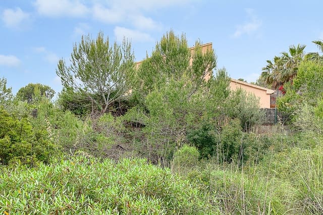 Mark till salu i Cala Mesquida, Capdepera - 375 000 € (Ref: 8045166)