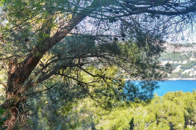 Mark till salu i Canyamel, Capdepera - 157 000 € (Ref: 8045167)