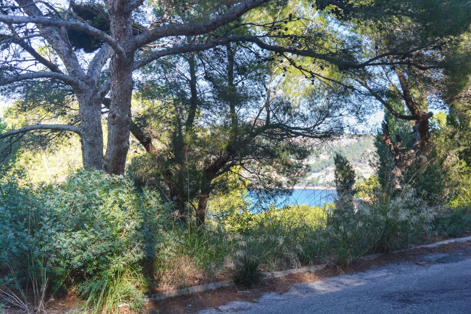 Undeveloped Land for sale in Canyamel - € 157,000 (Ref: 8045167)