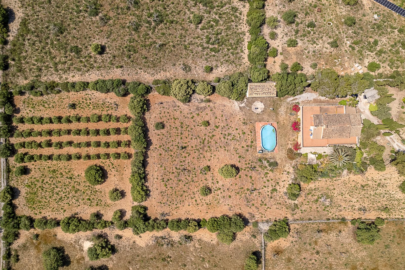 6 chambre Villa/Maison à vendre à Portocristo / Port de Manacor avec piscine - 1 750 000 € (Ref: 8045176)