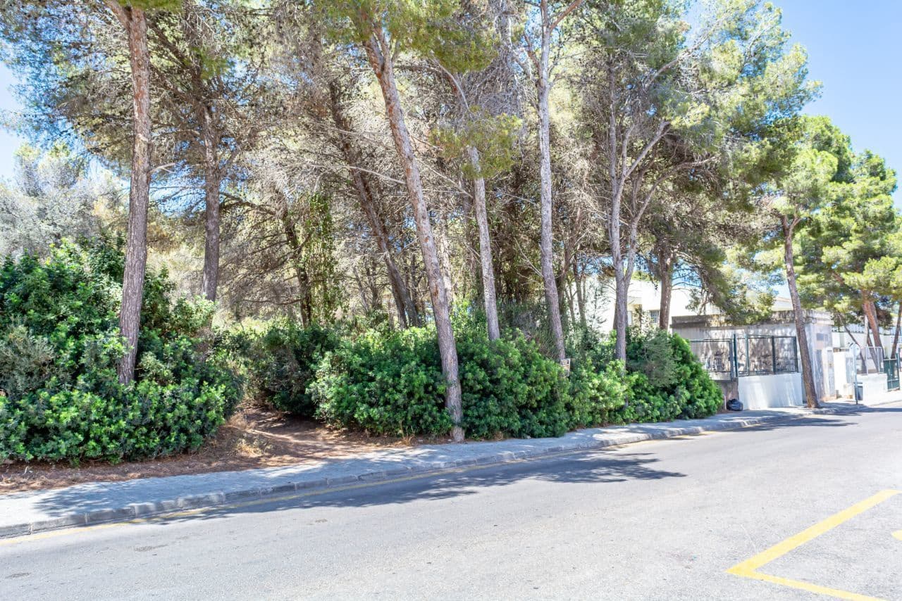 Mark till salu i Cala Ratjada - 1 752 500 € (Ref: 8045178)