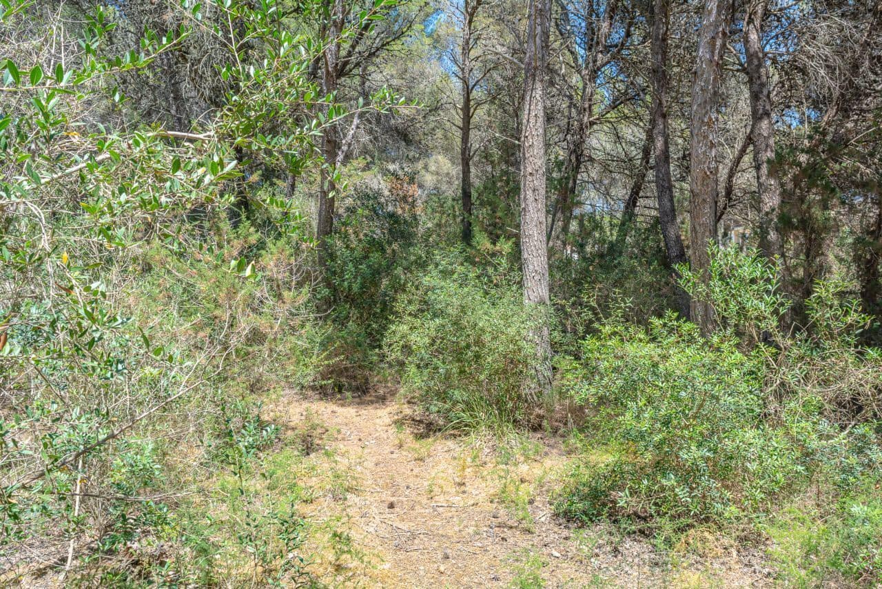 Mark till salu i Cala Ratjada - 1 752 500 € (Ref: 8045178)