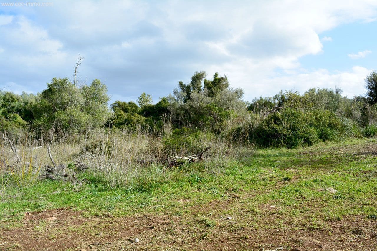 Grond te koop in Capdepera - € 399.500 (Ref: 8045184)