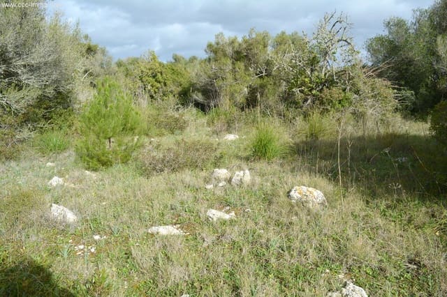 Mark till salu i Capdepera - 399 500 € (Ref: 8045184)