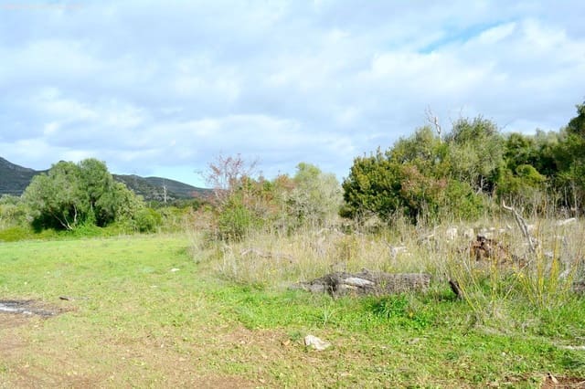 Mark till salu i Capdepera - 399 500 € (Ref: 8045184)