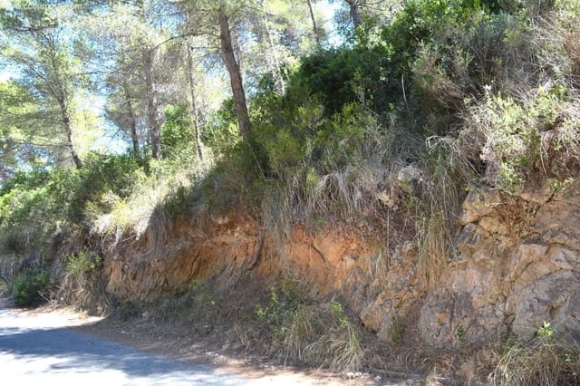 Grunde uden byggetilladelser til salg i Canyamel, Capdepera - € 170.000 (Ref: 8045210)
