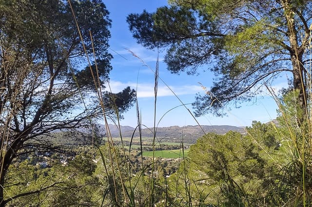 Grunde uden byggetilladelser til salg i Canyamel, Capdepera - € 170.000 (Ref: 8045210)