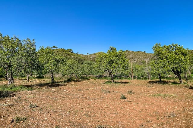 Undeveloped Land for sale in Capdepera - € 429,000 (Ref: 8045211)