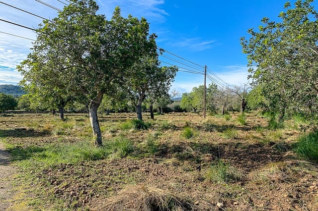 Undeveloped Land for sale in Capdepera - € 429,000 (Ref: 8045211)