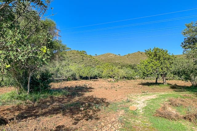 Undeveloped Land for sale in Capdepera - € 429,000 (Ref: 8045211)