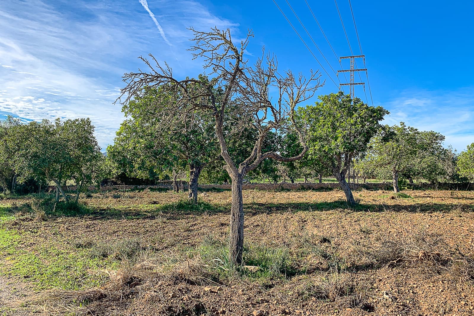 Terreno Não Urbanizado para venda em Capdepera - 429 000 € (Ref: 8045211)