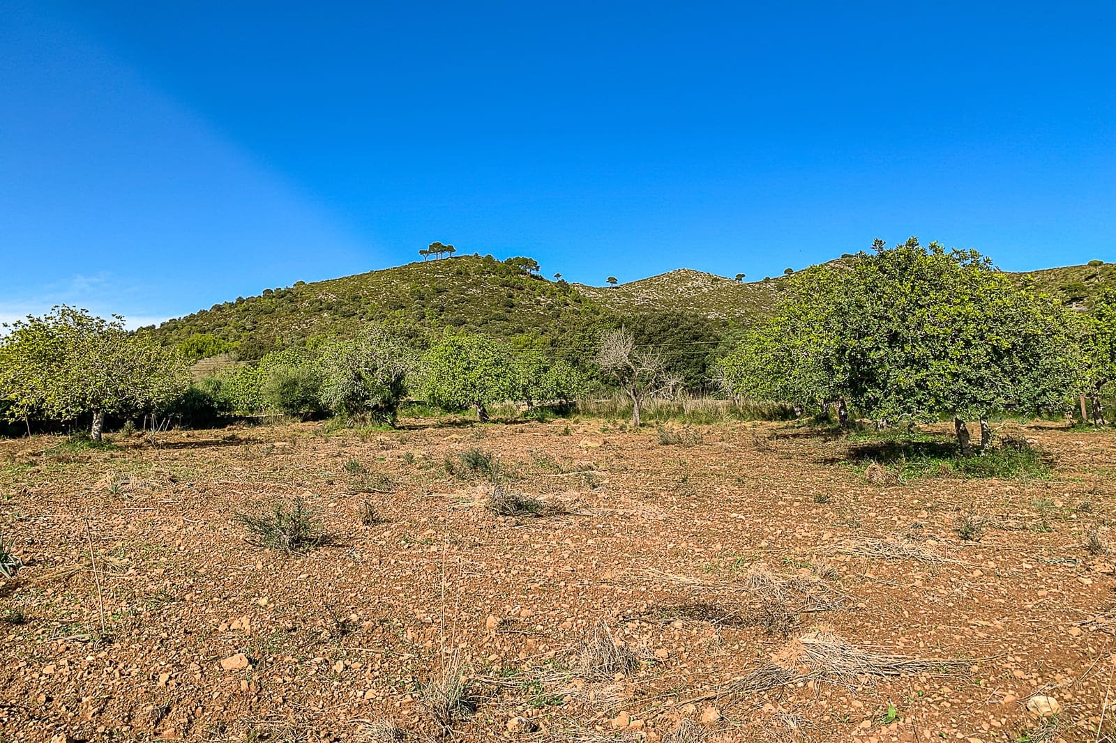 Terreno Não Urbanizado para venda em Capdepera - 429 000 € (Ref: 8045211)