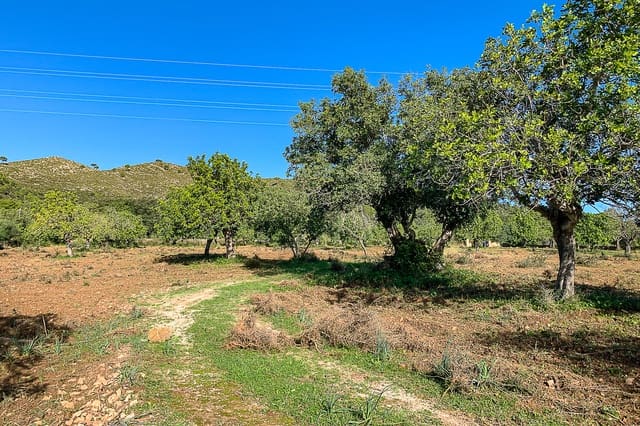 Undeveloped Land for sale in Capdepera - € 429,000 (Ref: 8045211)