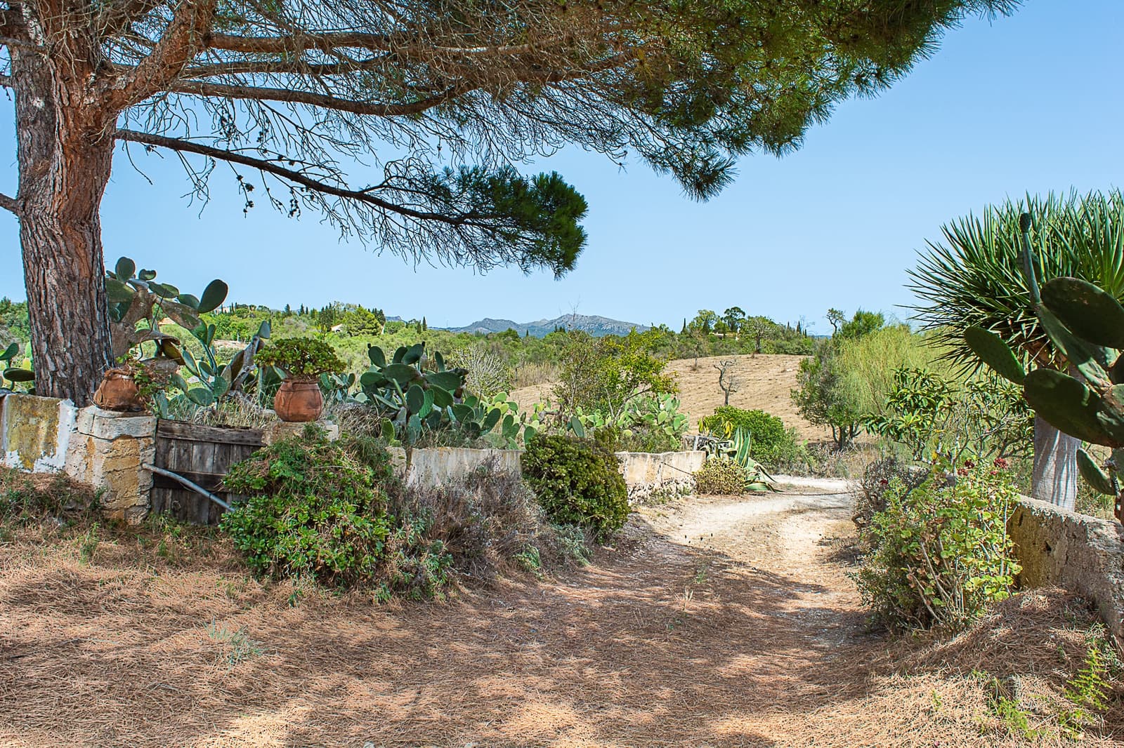 5 Zimmer Finca/Landgut zu verkaufen in Arta - 900.000 € (Ref: 8045220)