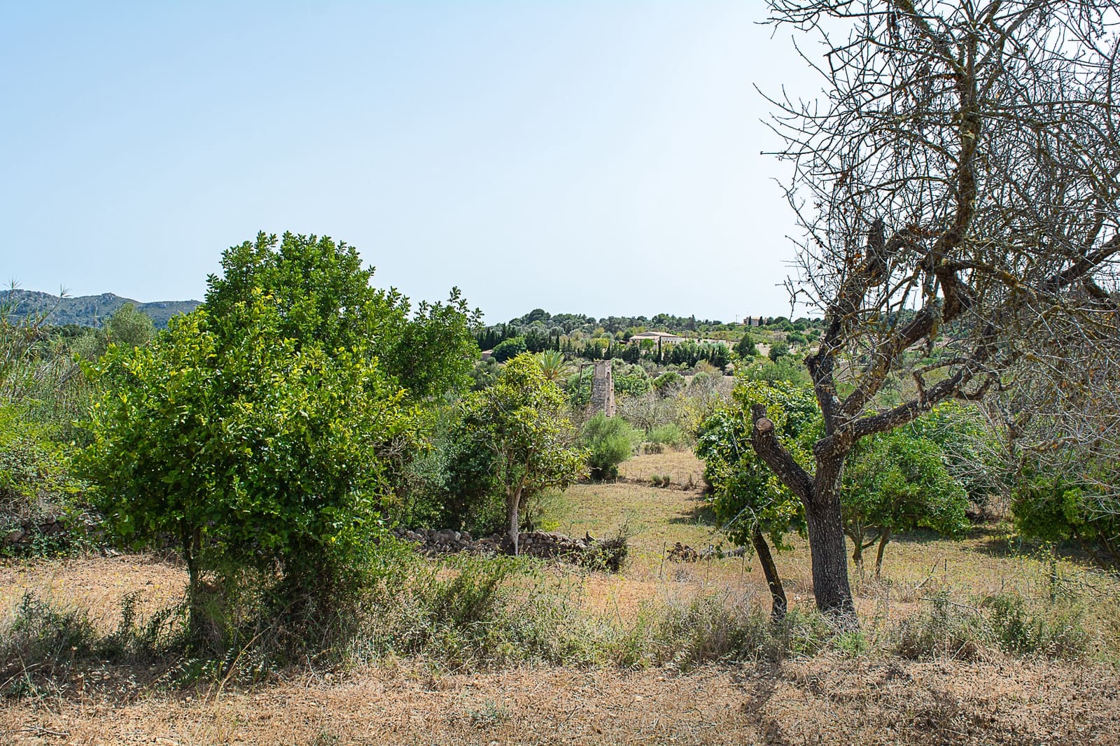 5 Zimmer Finca/Landgut zu verkaufen in Arta - 900.000 € (Ref: 8045220)