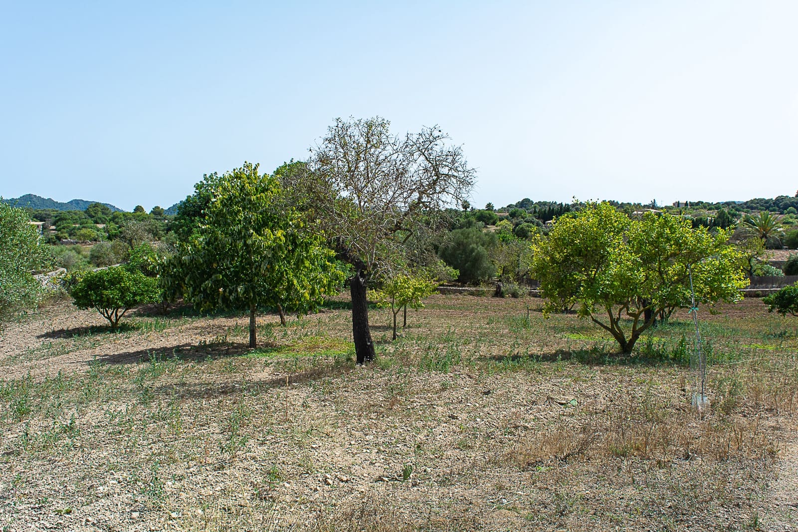 5 Zimmer Finca/Landgut zu verkaufen in Arta - 900.000 € (Ref: 8045220)