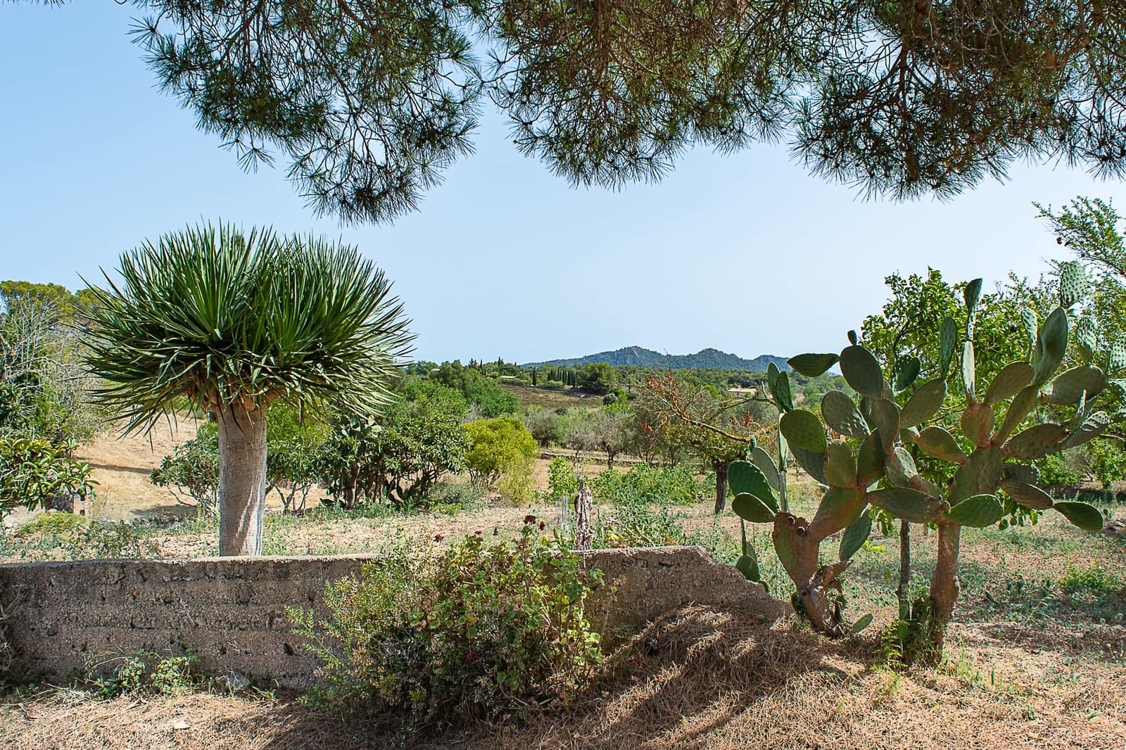 5 Zimmer Finca/Landgut zu verkaufen in Arta - 900.000 € (Ref: 8045220)