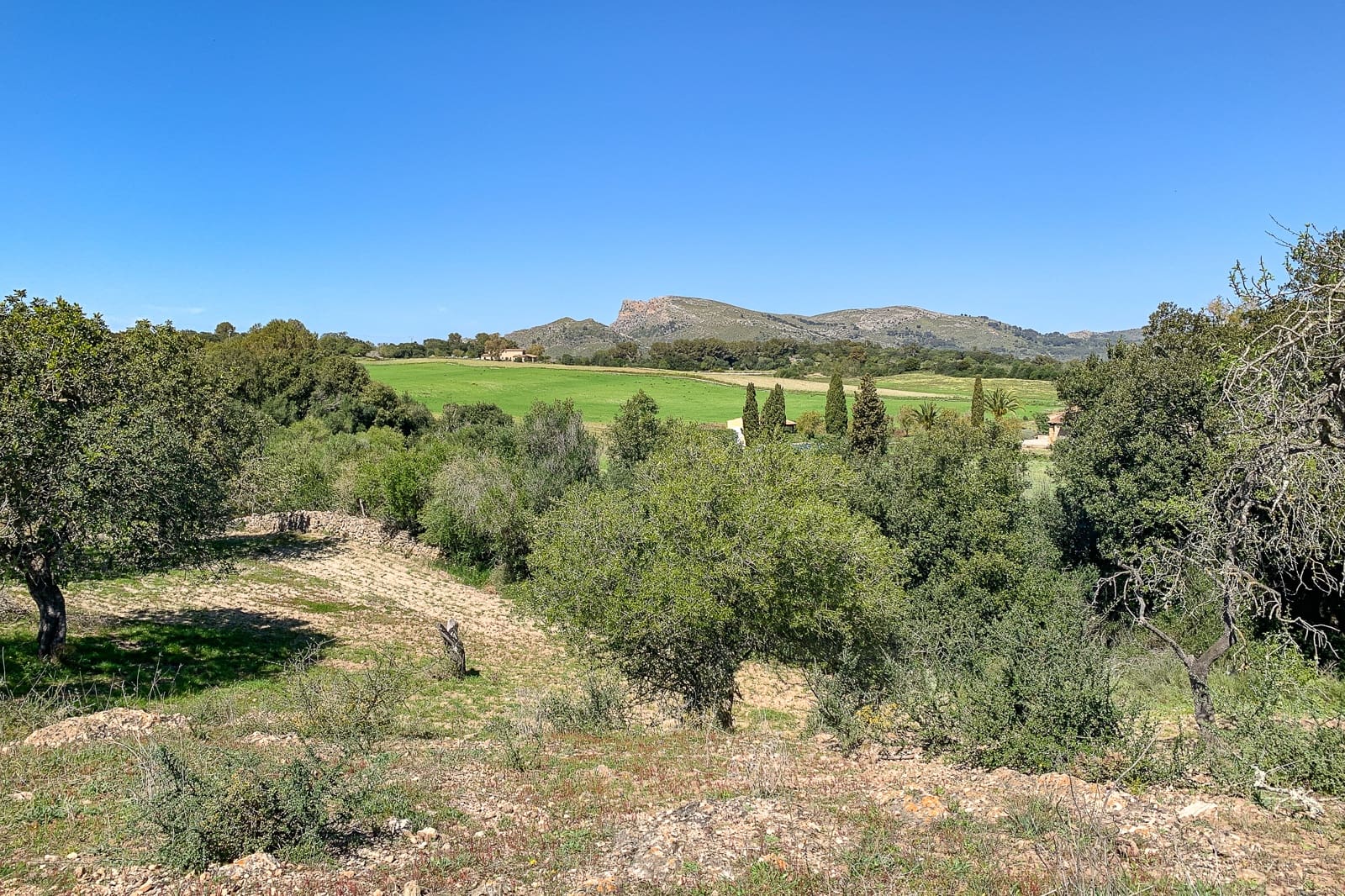 5 Zimmer Finca/Landgut zu verkaufen in Arta - 900.000 € (Ref: 8045220)
