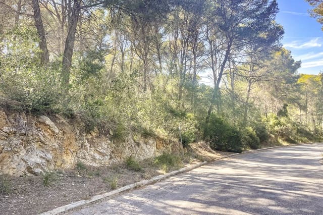 Mark till salu i Canyamel, Capdepera - 369 000 € (Ref: 8045222)