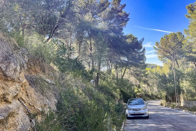 Mark till salu i Canyamel, Capdepera - 369 000 € (Ref: 8045222)