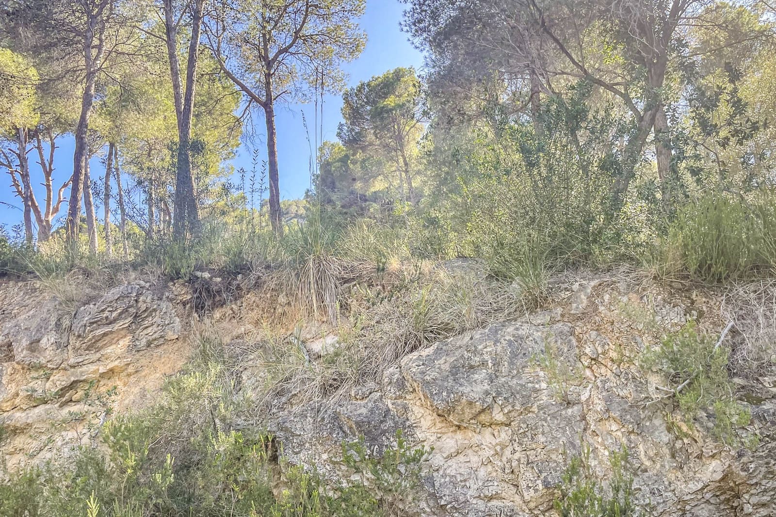 Ubebygd land til salgs i Canyamel - € 369 000 (Ref: 8045222)